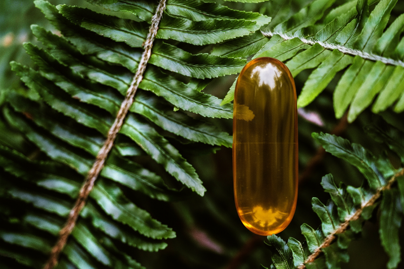 Capsule molle de complément alimentaire Theralica sur fond de fougère naturelle